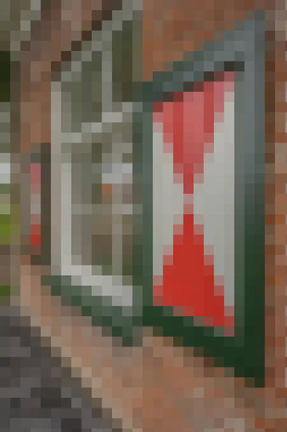 Draaibrug 65 Aardenburg thumbnail 7