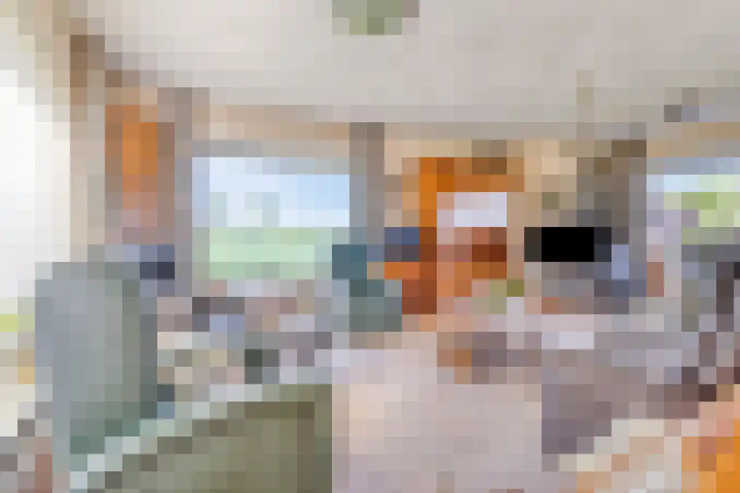 Draaibrugseweg 8 Aardenburg thumbnail 10