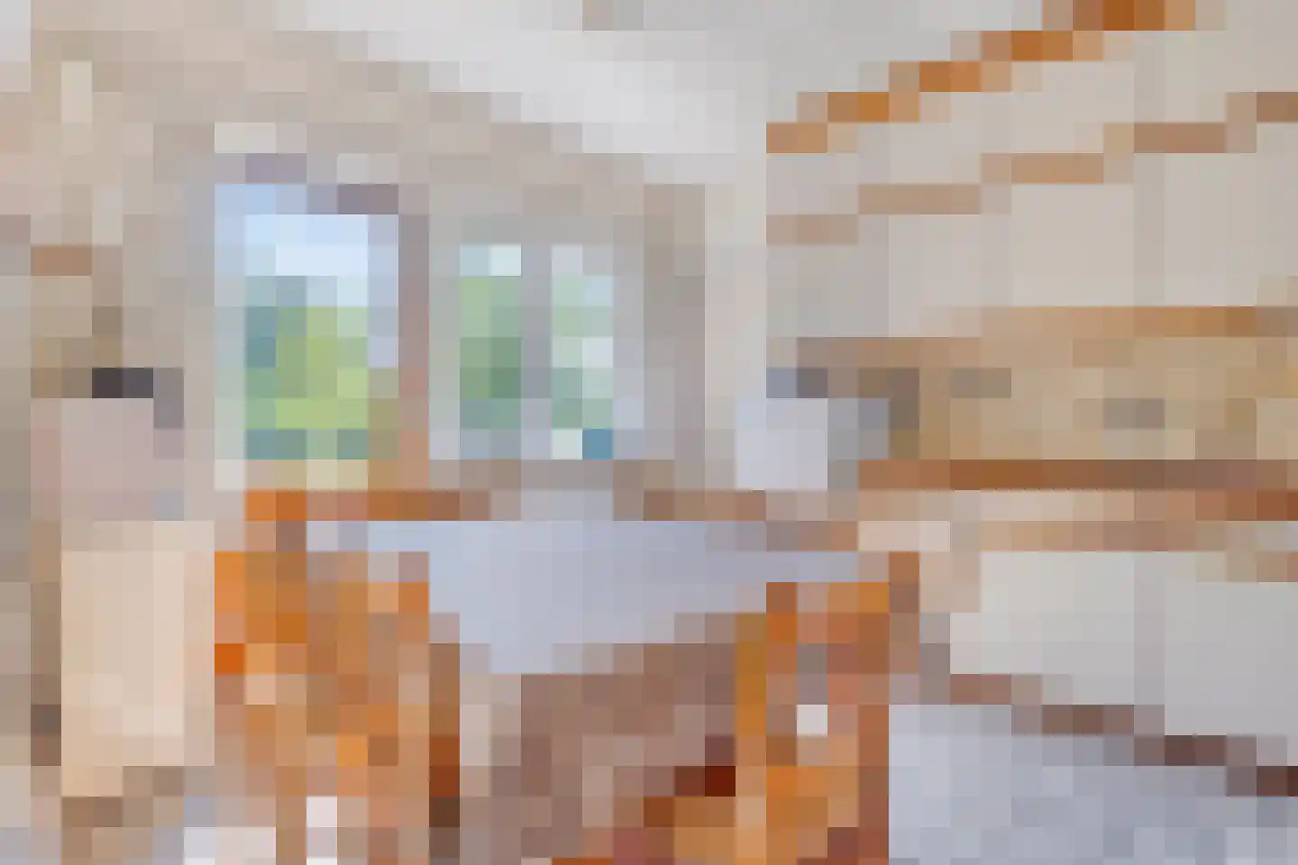 Draaibrugseweg 8 Aardenburg thumbnail 16