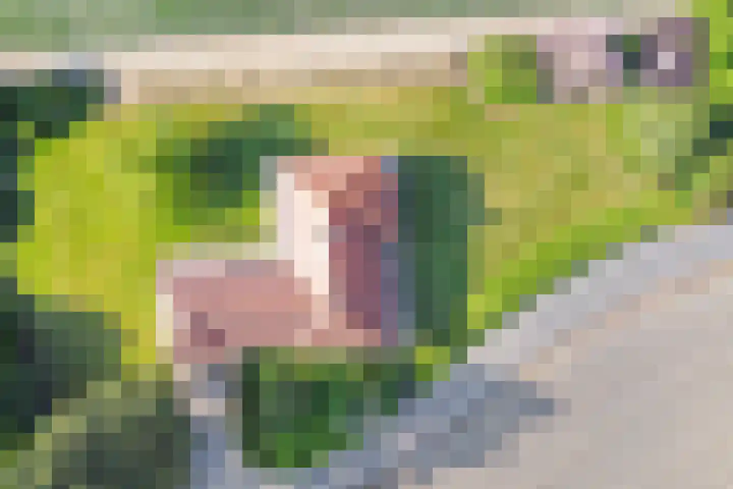 Draaibrugseweg 8 Aardenburg thumbnail 7