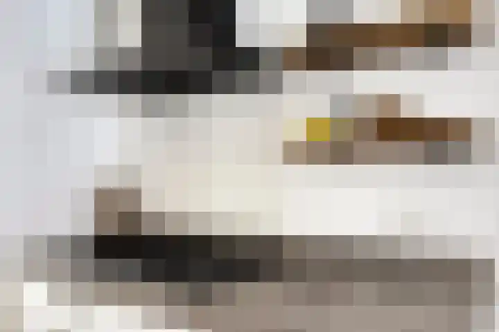 Draaikolk 27 Oostzaan thumbnail 10