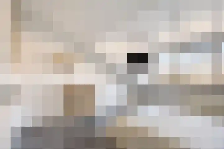 Draaikolk 27 Oostzaan thumbnail 19