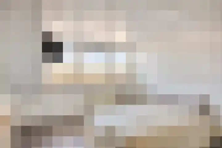 Draaikolk 27 Oostzaan thumbnail 20