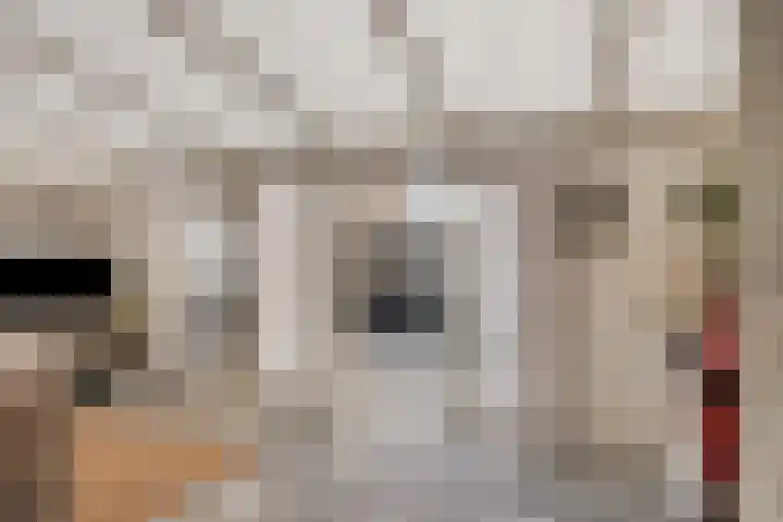 Draaikolk 27 Oostzaan thumbnail 26