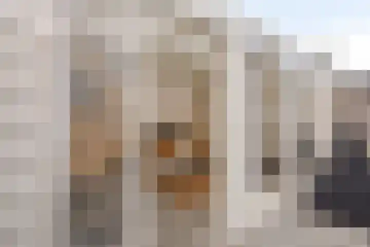 Draaikolk 27 Oostzaan thumbnail 28