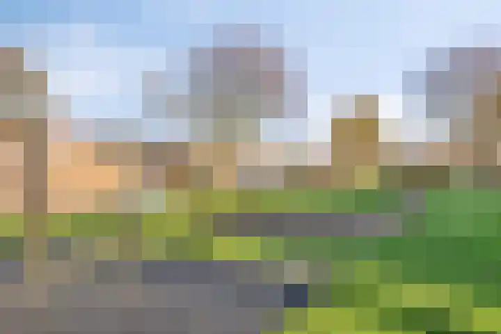 Draaikolk 27 Oostzaan thumbnail 36