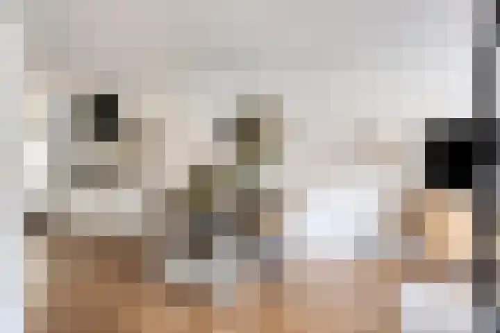 Draaikolk 27 Oostzaan thumbnail 4