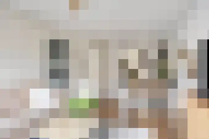 Draaikolk 27 Oostzaan thumbnail 6
