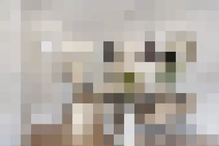 Draaikolk 27 Oostzaan thumbnail 7