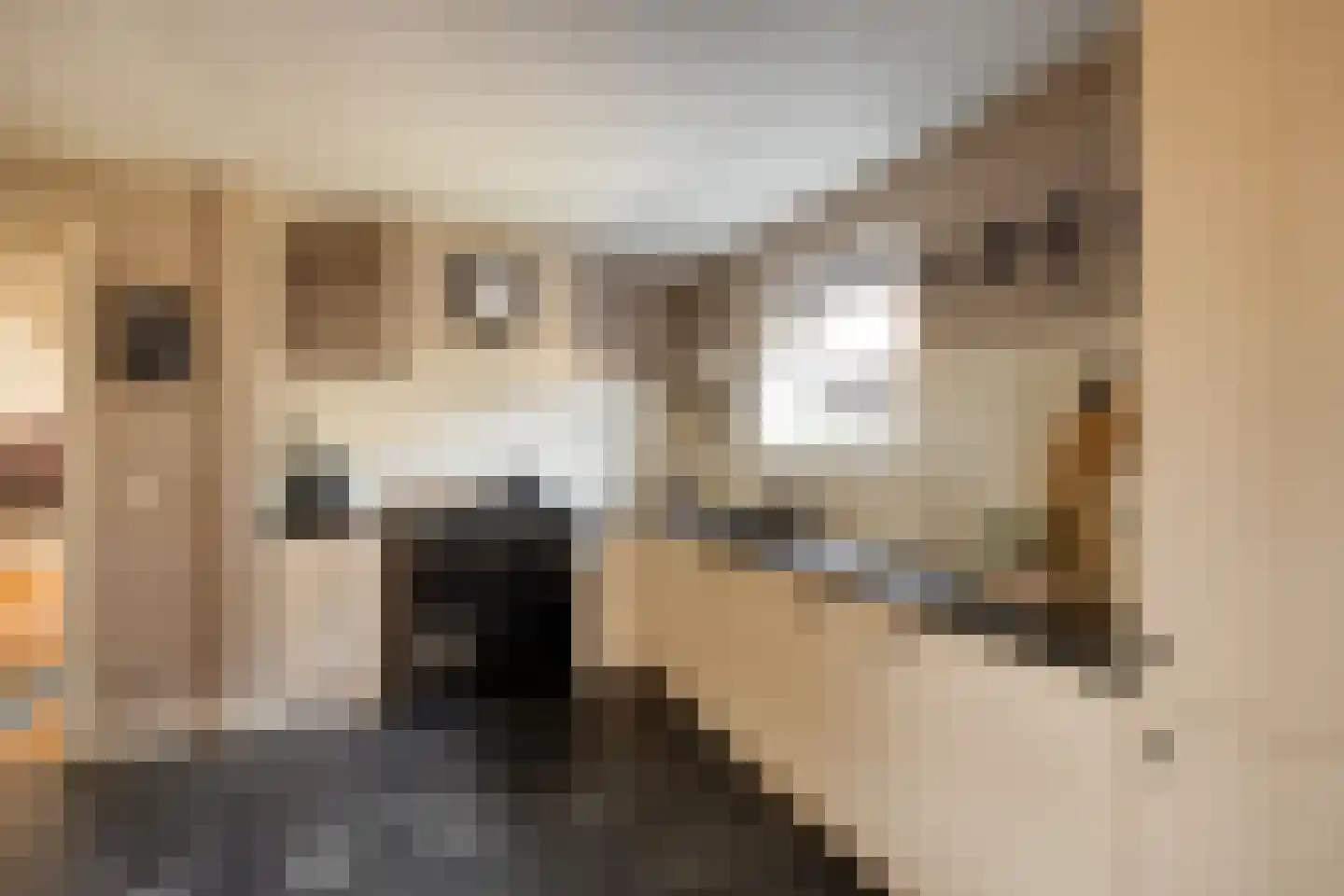 Draaikolk 40 Oostzaan thumbnail 10