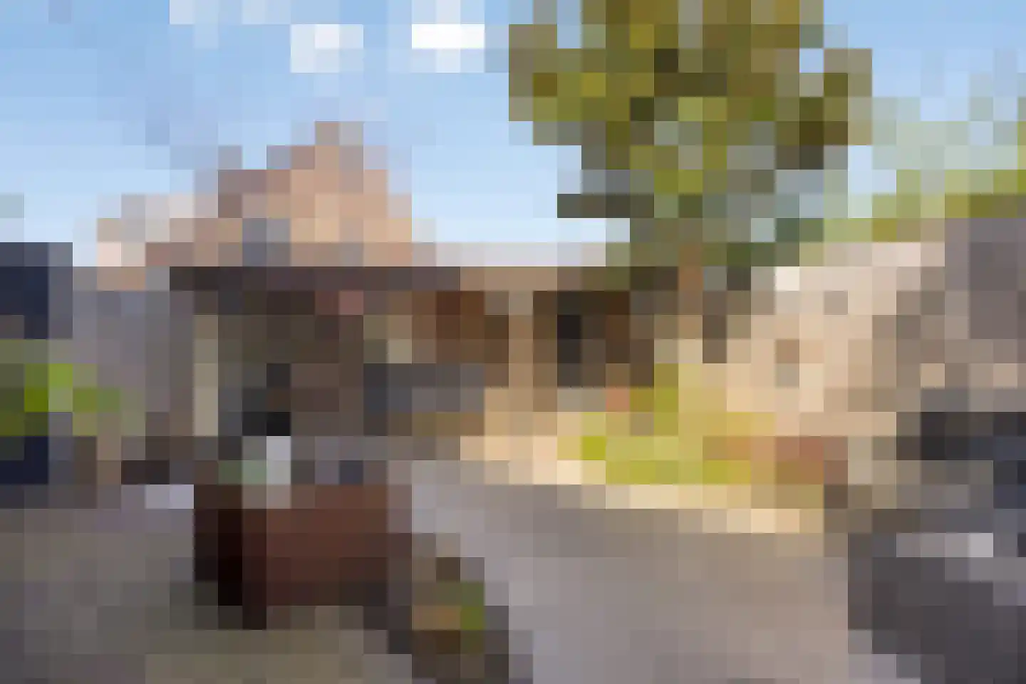 Draaikolk 40 Oostzaan thumbnail 28