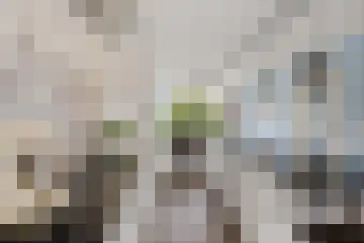 Draaikolk 43 Oostzaan thumbnail 12