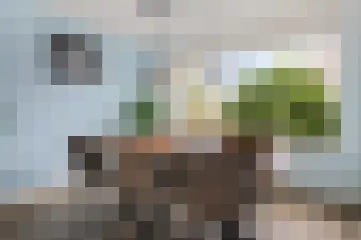 Draaikolk 43 Oostzaan thumbnail 14