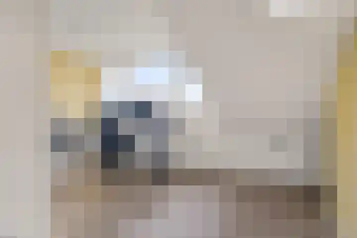 Draaikolk 43 Oostzaan thumbnail 22
