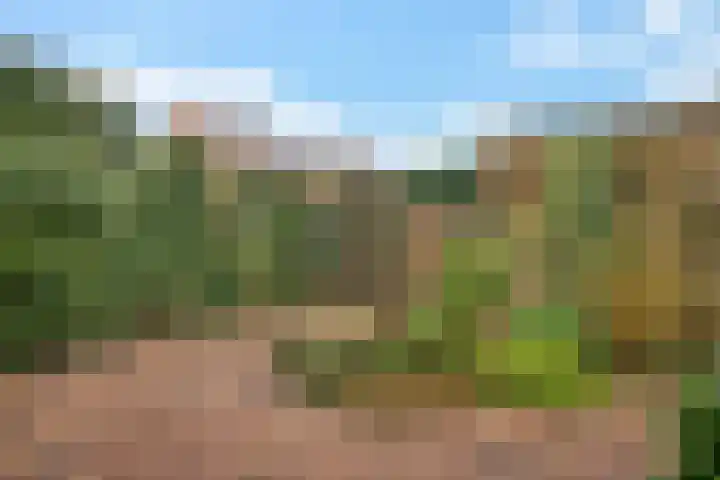 Draaikolk 43 Oostzaan thumbnail 28
