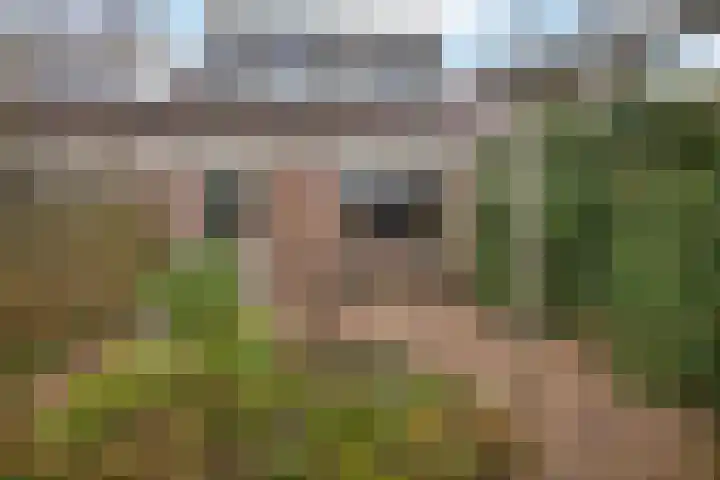 Draaikolk 43 Oostzaan thumbnail 31