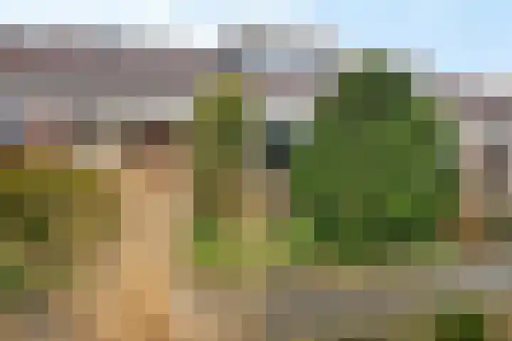 Draaikolk 43 Oostzaan thumbnail 32