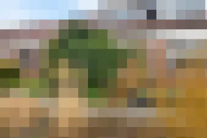 Draaikolk 43 Oostzaan thumbnail 33