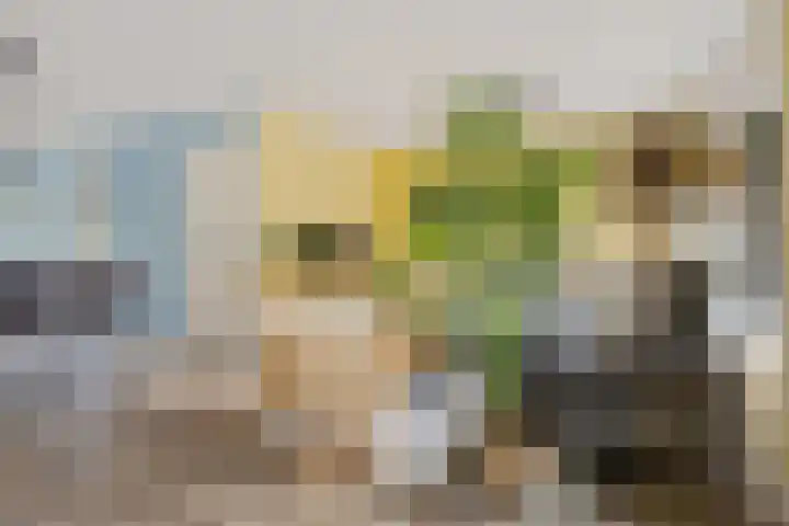 Draaikolk 43 Oostzaan thumbnail 5