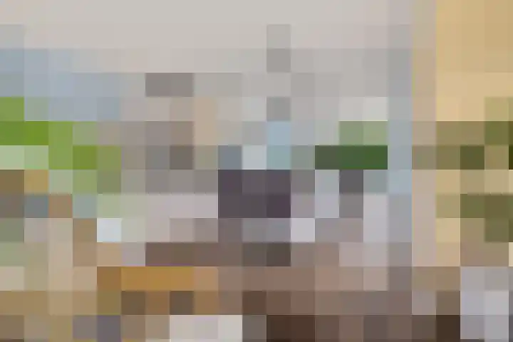 Draaikolk 43 Oostzaan thumbnail 8