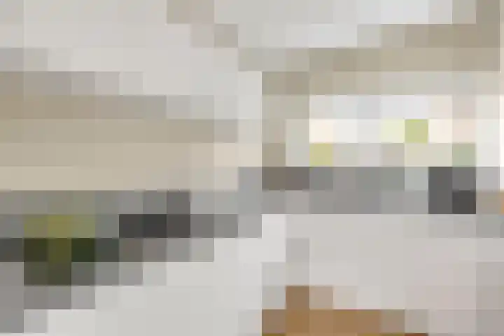 Draaikolk 7 Hellevoetsluis thumbnail 20