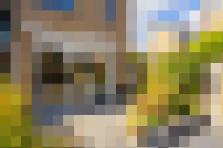 Draaikolk 7 Hellevoetsluis thumbnail 22