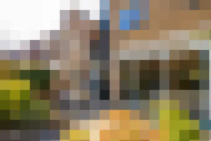 Draaikolk 7 Hellevoetsluis thumbnail 23