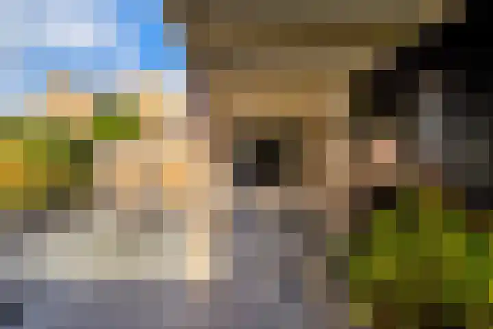 Draaikolk 7 Hellevoetsluis thumbnail 27