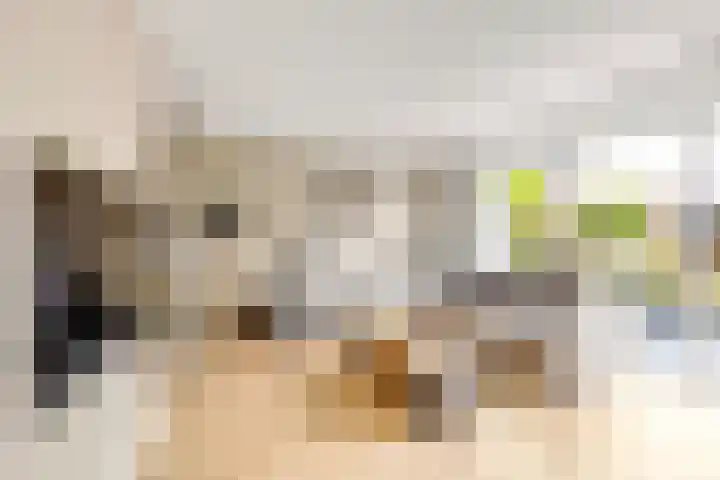 Draaikolk 7 Hellevoetsluis thumbnail 4
