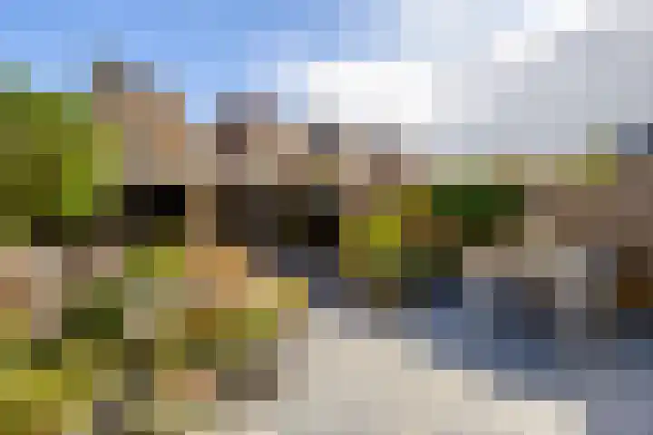 Draaikolk 7 Hellevoetsluis thumbnail 5