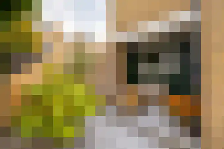 Draaikolk 7 Hellevoetsluis thumbnail 8