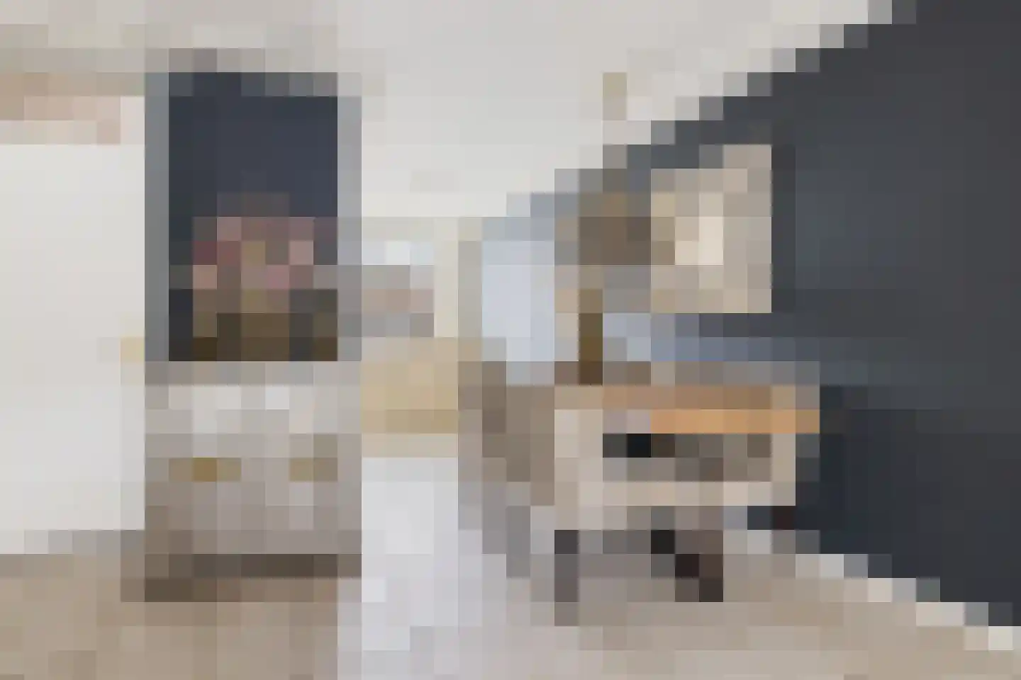 Draaikolk 72 Oostzaan thumbnail 11