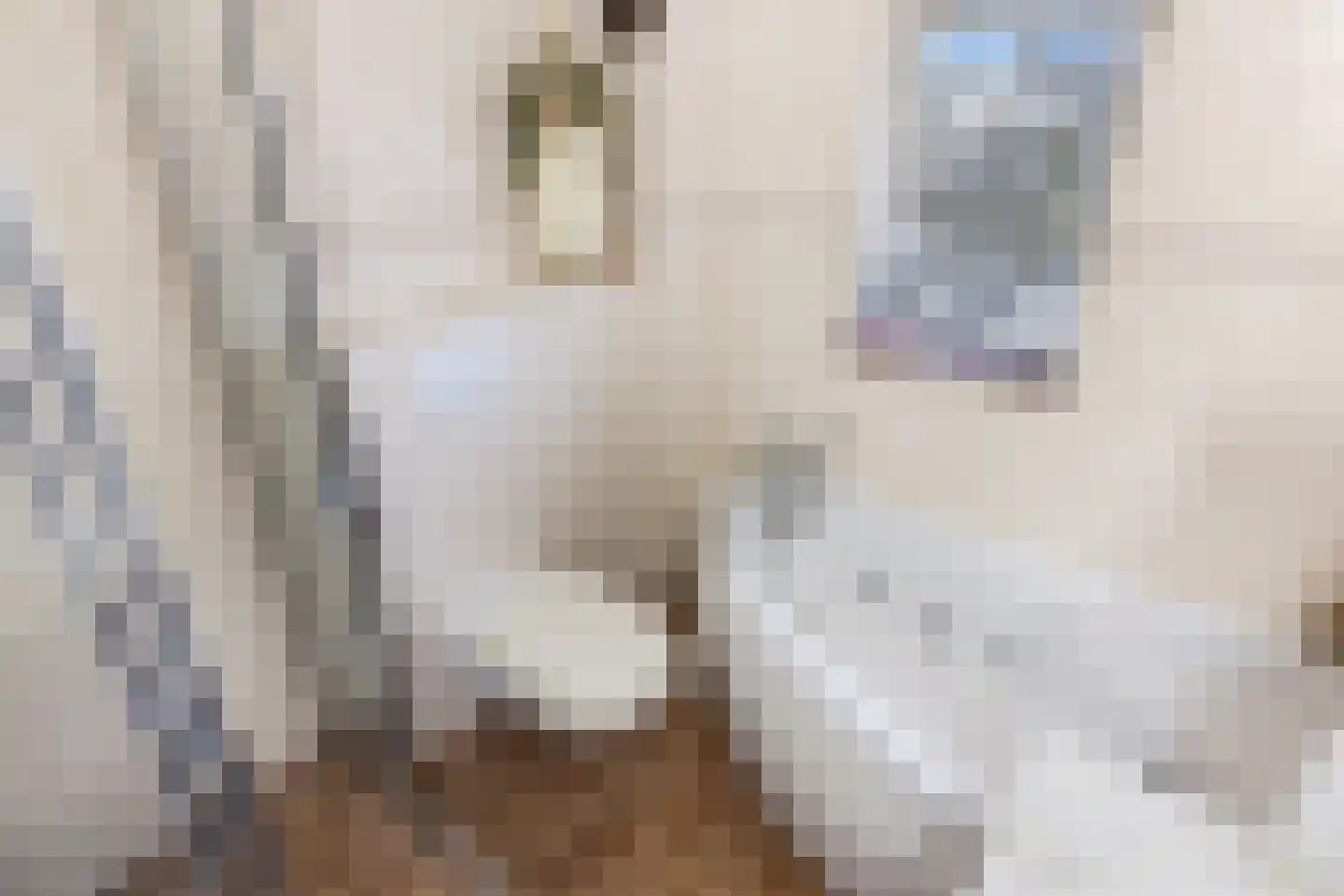 Draaikolk 72 Oostzaan thumbnail 27
