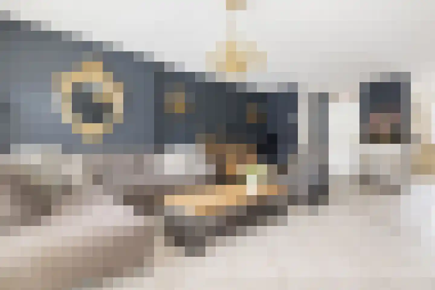 Draaikolk 72 Oostzaan thumbnail 5