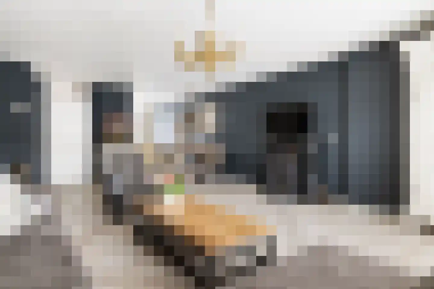Draaikolk 72 Oostzaan thumbnail 7