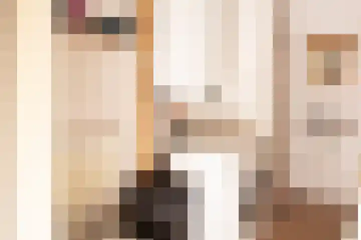 Draaikom 10 Huizen thumbnail 11