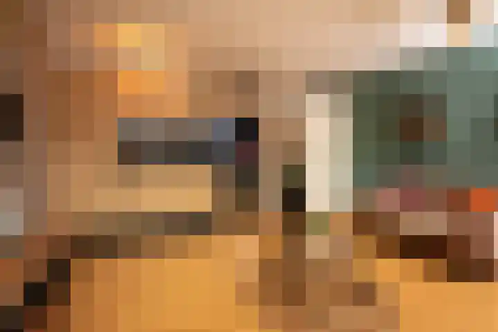 Draaikom 10 Huizen thumbnail 6