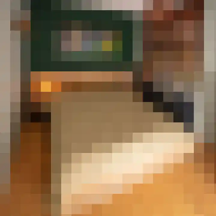 Draaikom 10 Huizen thumbnail 8