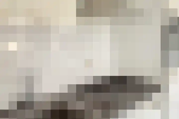 Draaikom 20 Huizen thumbnail 12