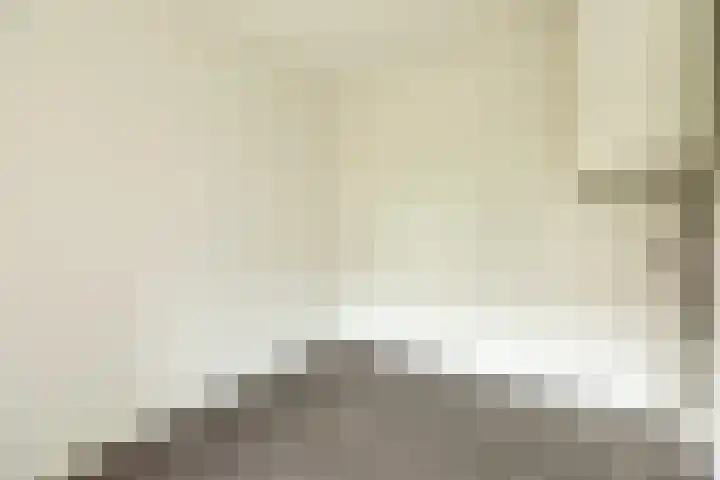 Draaikom 20 Huizen thumbnail 13