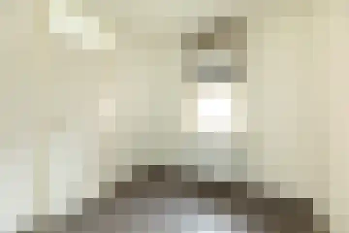 Draaikom 20 Huizen thumbnail 14