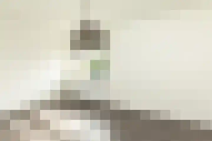 Draaikom 20 Huizen thumbnail 15