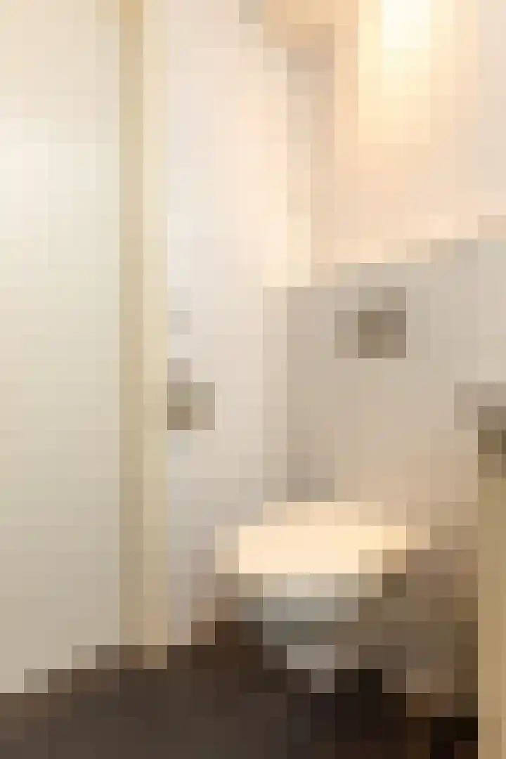 Draaikom 20 Huizen thumbnail 17