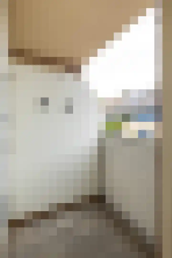 Draaikom 20 Huizen thumbnail 18