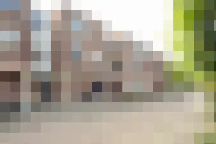 Draaikom 20 Huizen thumbnail 19
