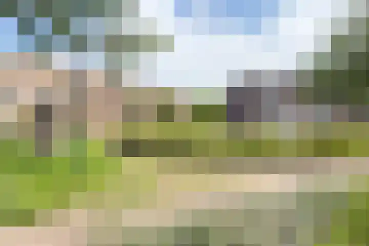 Draaikom 20 Huizen thumbnail 23