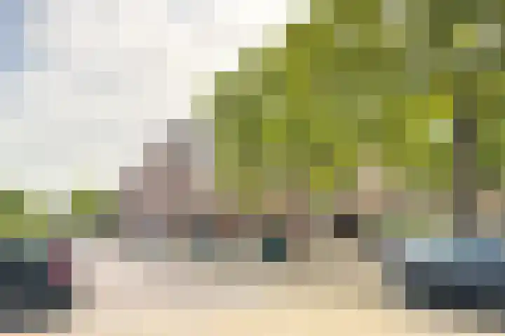 Draaikom 20 Huizen thumbnail 4