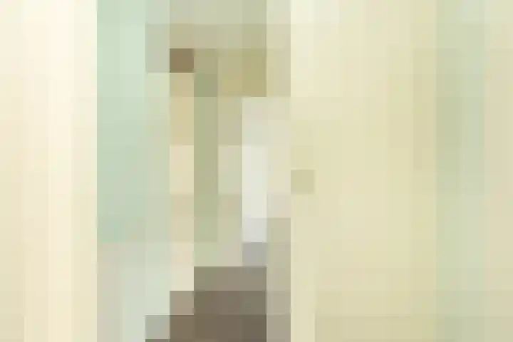Draaikom 20 Huizen thumbnail 6