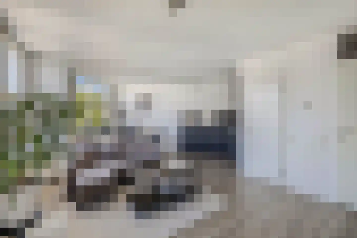Draaikom 44 Huizen thumbnail 11