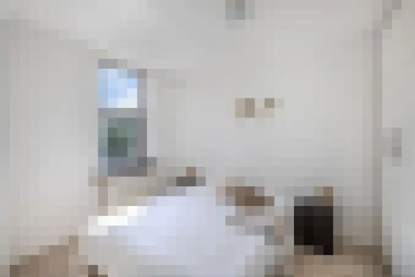 Draaikom 44 Huizen thumbnail 19